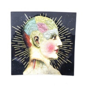 Phrenology Glass Trinket Plate by Temerity Jones