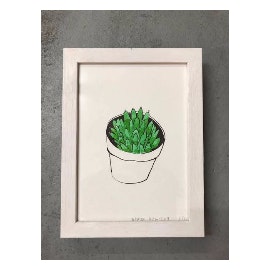 A 5 Framed Giclee Print Plant Drawings by oliver hemsley