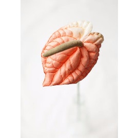 Paper Flamingo Everlasting Artificial Flower by Posy & Pot