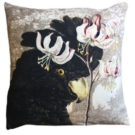 Velvet Black Parrot Cushion by CollardManson