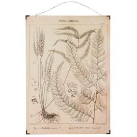 Fern Leaves Wall Hanging by CollardManson