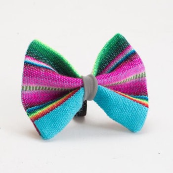 Inca Botanical Blue Dog Bow Tie by Hiro + Wolf
