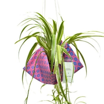 Nebula Plant Hanger by Artisans & Adventurers