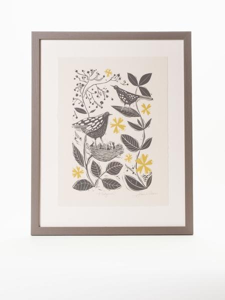 Blackbirds In Hedgerow Framed Print by Sam Wilson