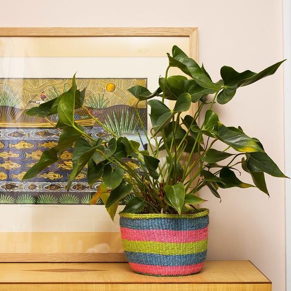Emily Woven Basket by Artisans & Adventurers