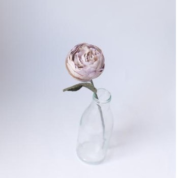 Paper Peony Artificial Flowers by Posy & Pot