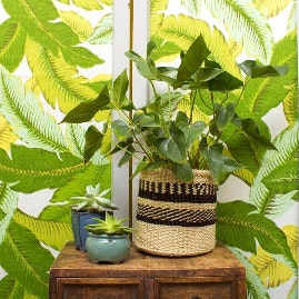 Mejumaa Woven Basket by Artisans & Adventurers