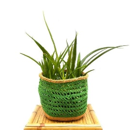 Green Crochet Woven Basket by Artisans & Adventurers