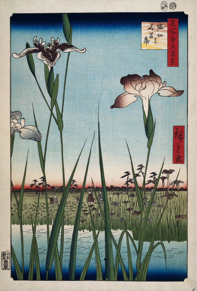 Japanese Flower Vintage Illustration by Cuemars
