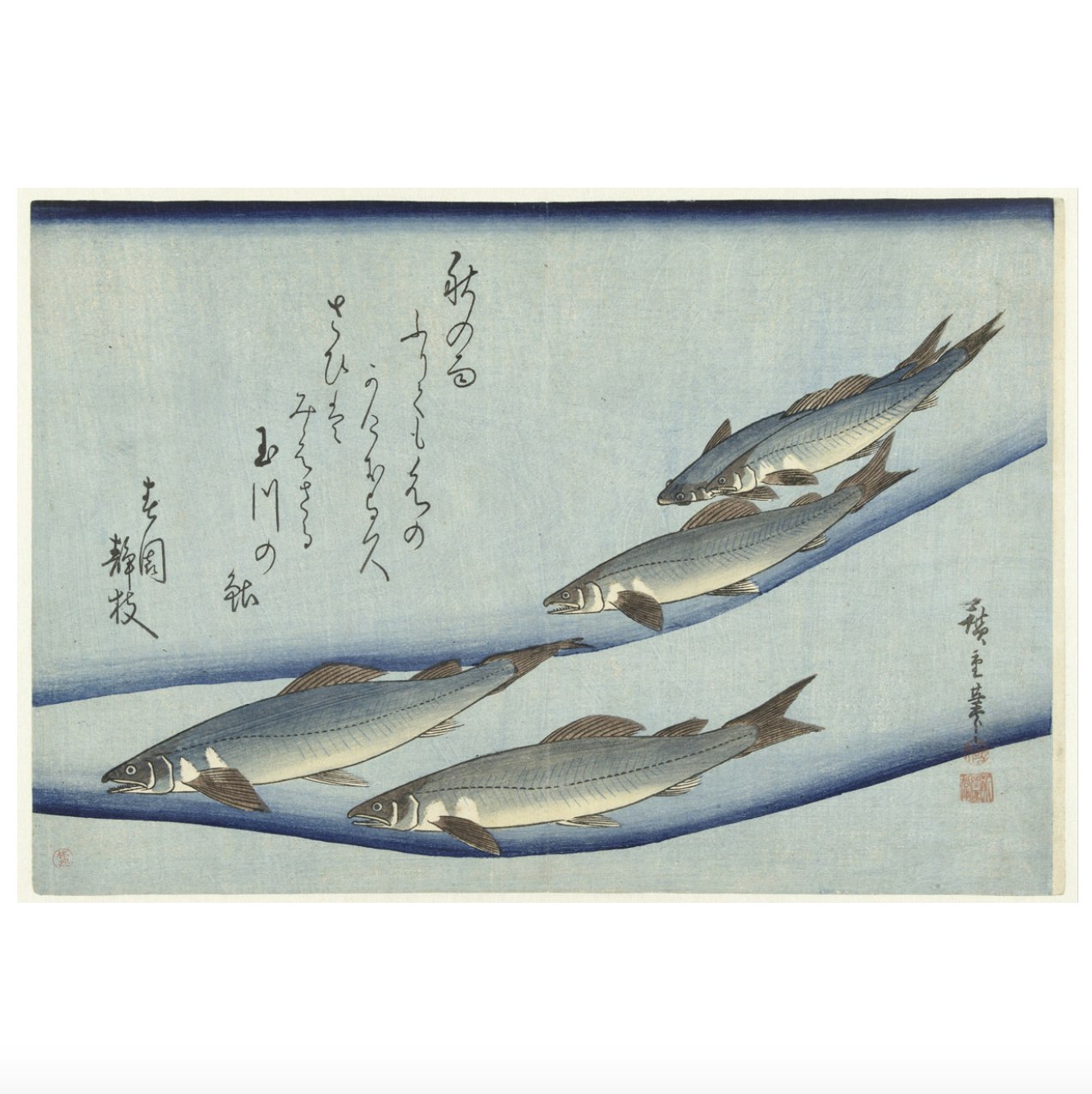 Yoshitoshi Blue Fish by Cuemars