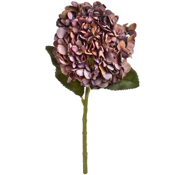 Autumn Hydrangea by Hill Interiors