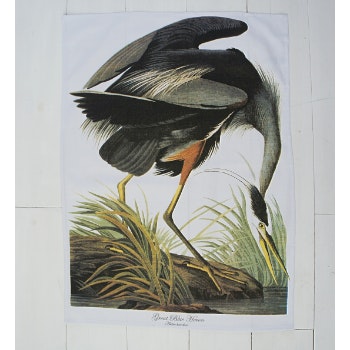Great Blue Heron Tea Towel by
