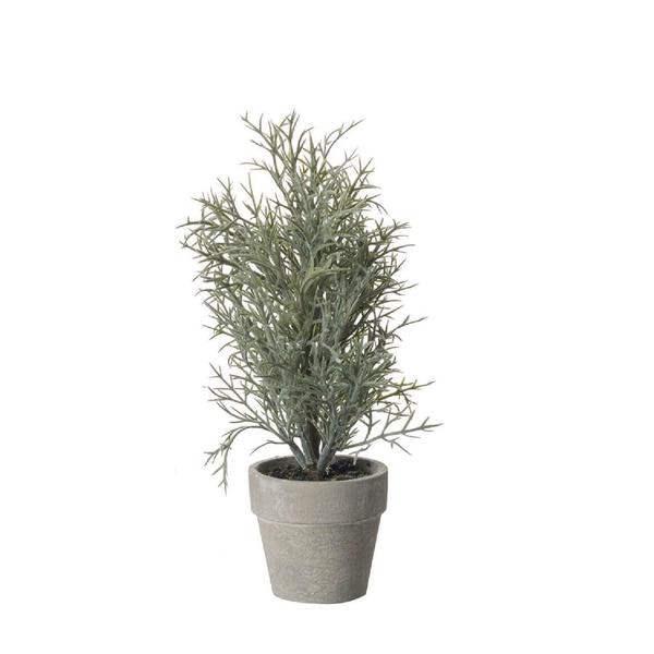 Style 2 Mini Potted Tree by Parlane