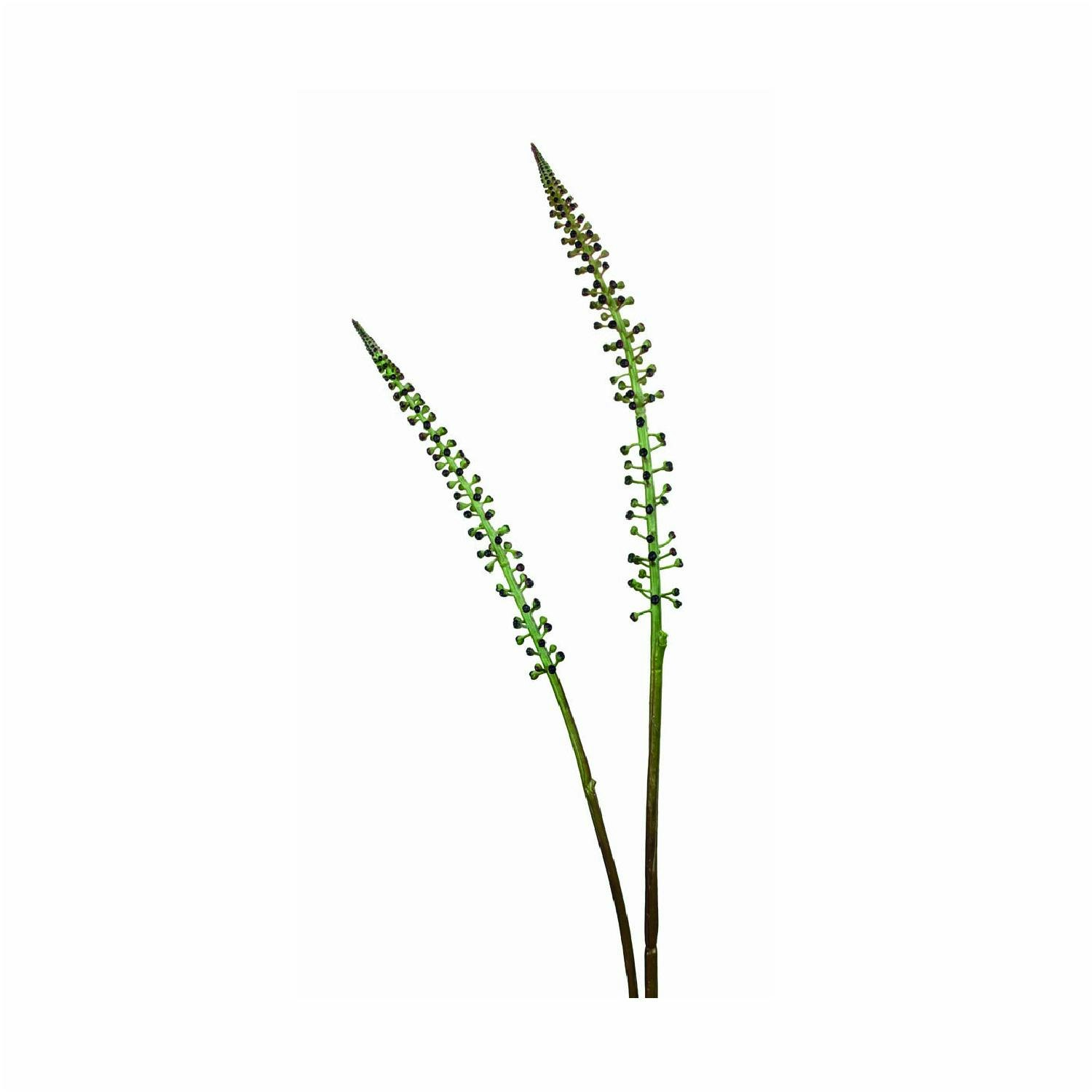 Erumerus Bud Spray by The Upholsterer