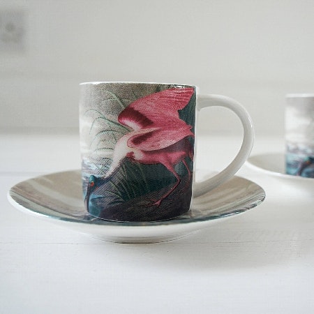 Set Of 2 Roseate Spoonbill Espresso Cups & Saucers by