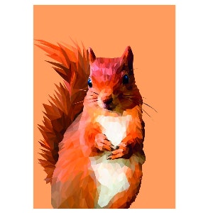 Talia Giles - Red Squirrel Framed Print by The Upholsterer