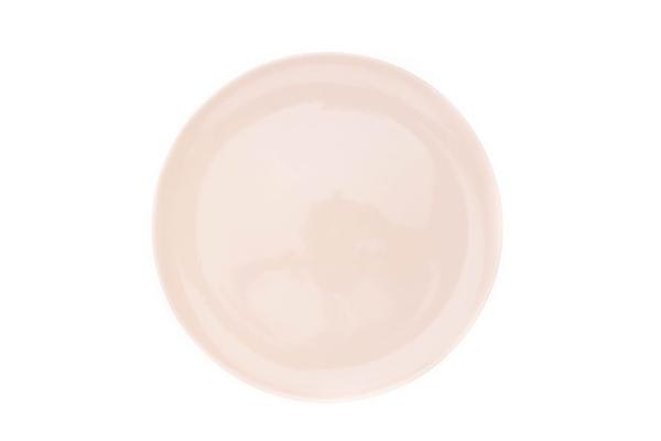 Soft Pink Shell Bisque Dinner Plate - Set of 4 by Canvas Home