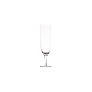 Clear Amwell Champagne Glass - Set of 4 by Canvas Home