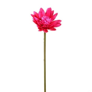 Pink Lotus Lilly Decoration Bundle of 5 by Hyde And Seek
