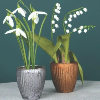Snowdrop & Lily Of The Valley Flower Decor by Hyde And Seek