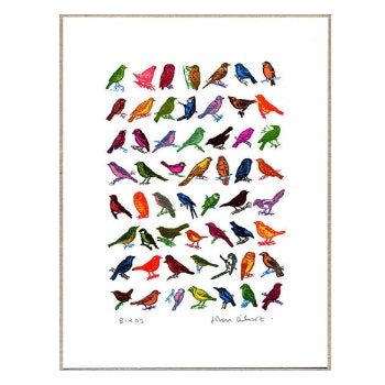 Garden Birds Mini Screen Print by John Dilnot