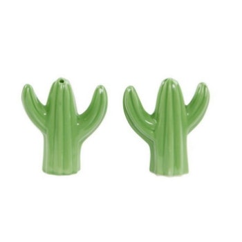 Cactus Shaped Salt & Pepper Shaker Set by Sass & Belle
