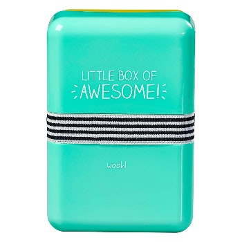 Little Box Of Awesome Lunch Box by Happy Jackson