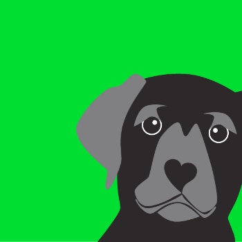 Black Labrador Card by Giddy Sprite