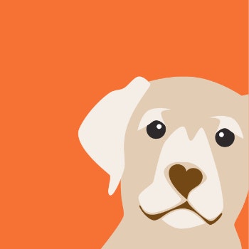 Honey Labrador Card by Giddy Sprite