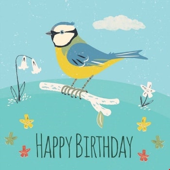 Blue Tit Birthday Card by Rex London