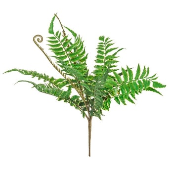 Fern Bush Bundle Decoration by Hyde And Seek