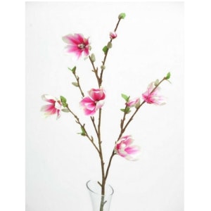 Pale Pink Magnolia Branch Decor by Hyde And Seek