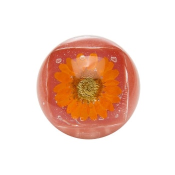 Orange Duo Lip Gloss by The Impulse Gift Company