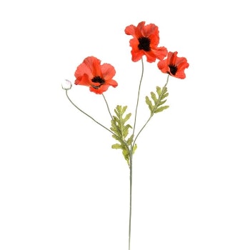 Flame Orange Poppy Stem Decor by Hyde And Seek