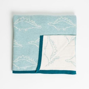 Dinosaur Blanket by Sophie Allport