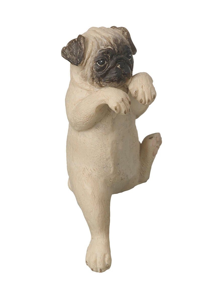 Pot Hanging Pug by The Upholsterer