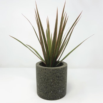 Green Medium Granite & Concrete Pot by Conpot