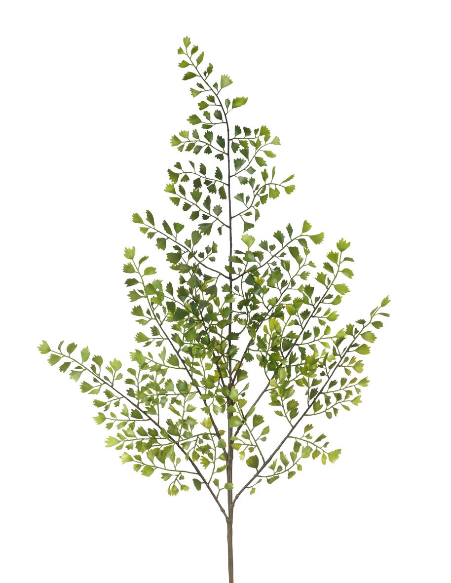 Faux Green Maiden Hair Fern Spray by Parlane