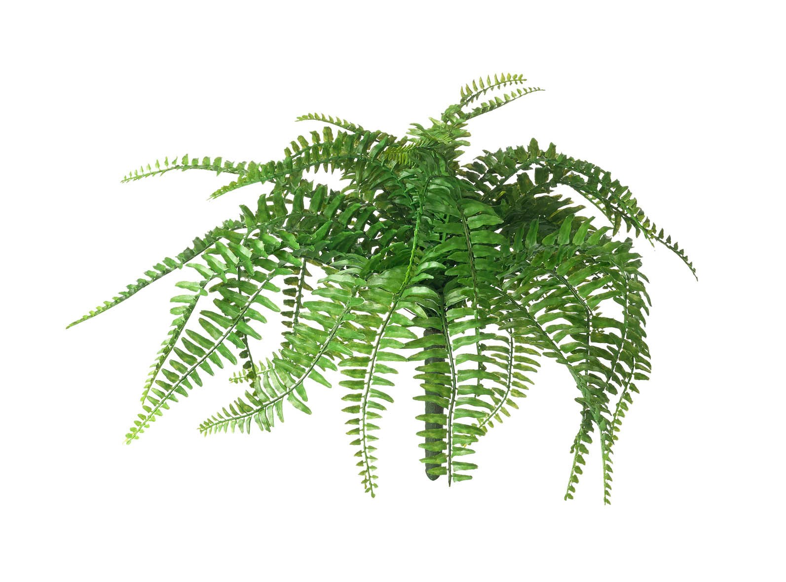 Fern Stem by The Upholsterer
