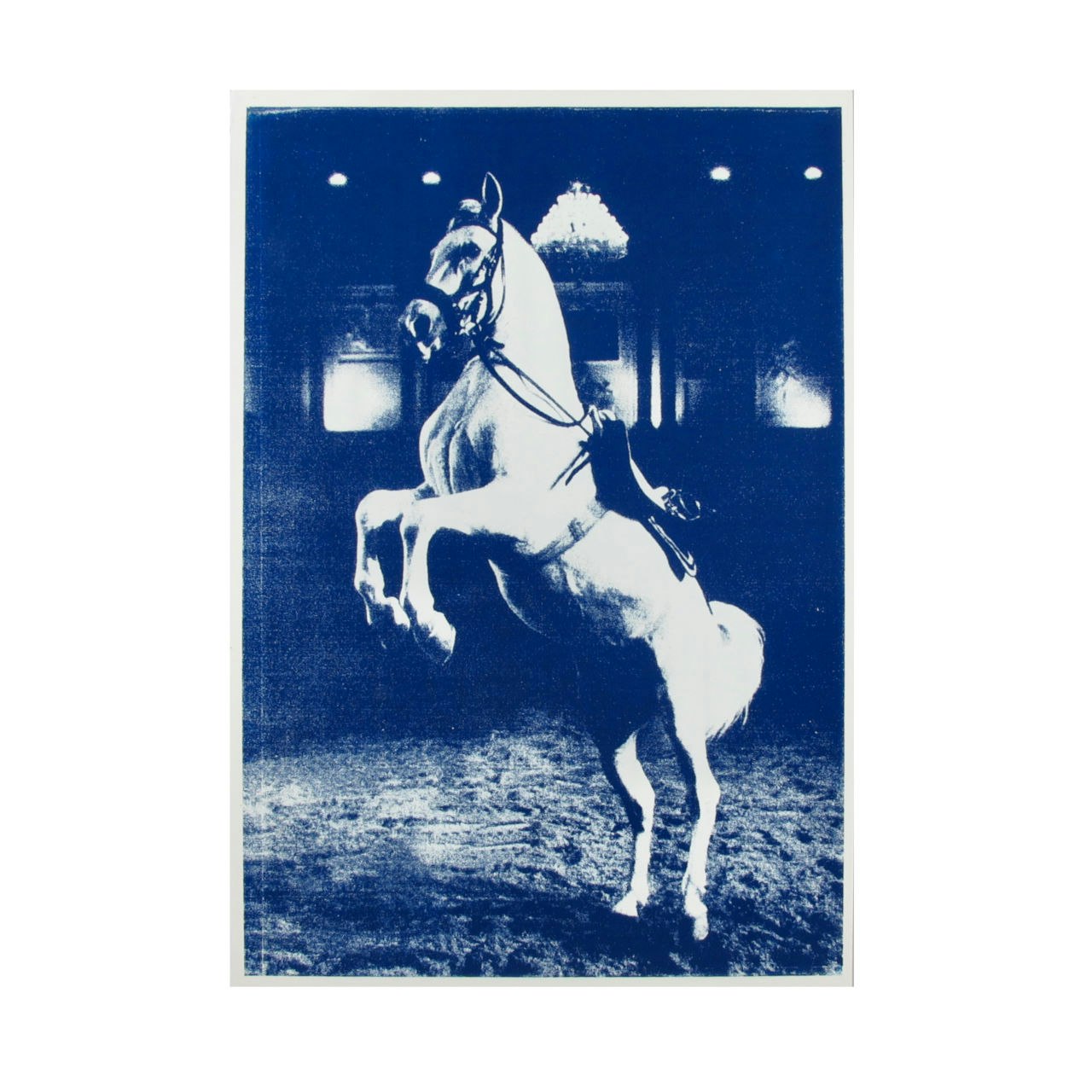 Horse Screenprint by Kate Gibb - Royal Blue by Kate Gibb