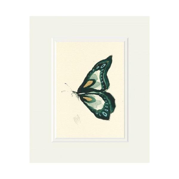 Green Butterfly Mounted Print By Anna Wright by Anna Wright Art