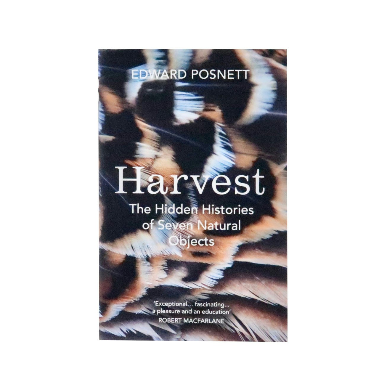 Harvest - Edward Posnett by Bodley Head