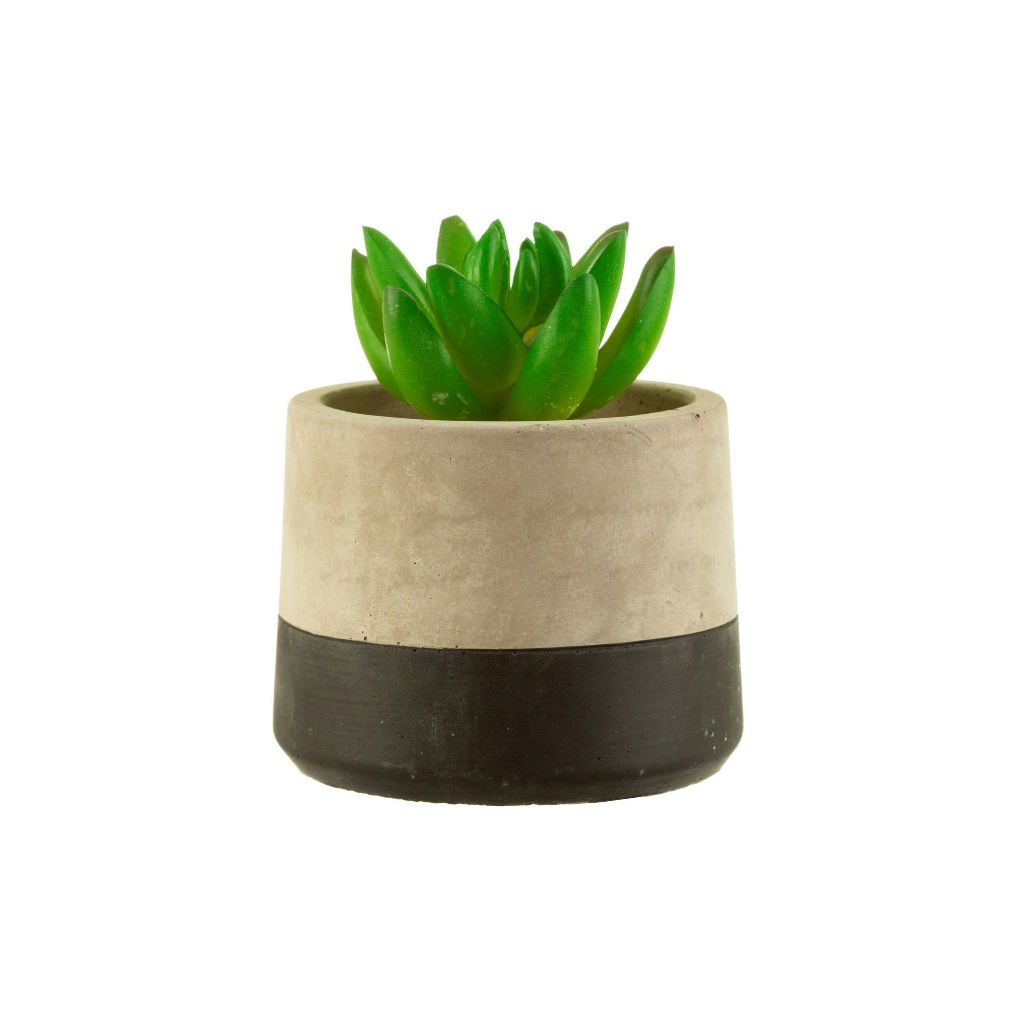 Black Dip Concrete Planter by Sass & Belle