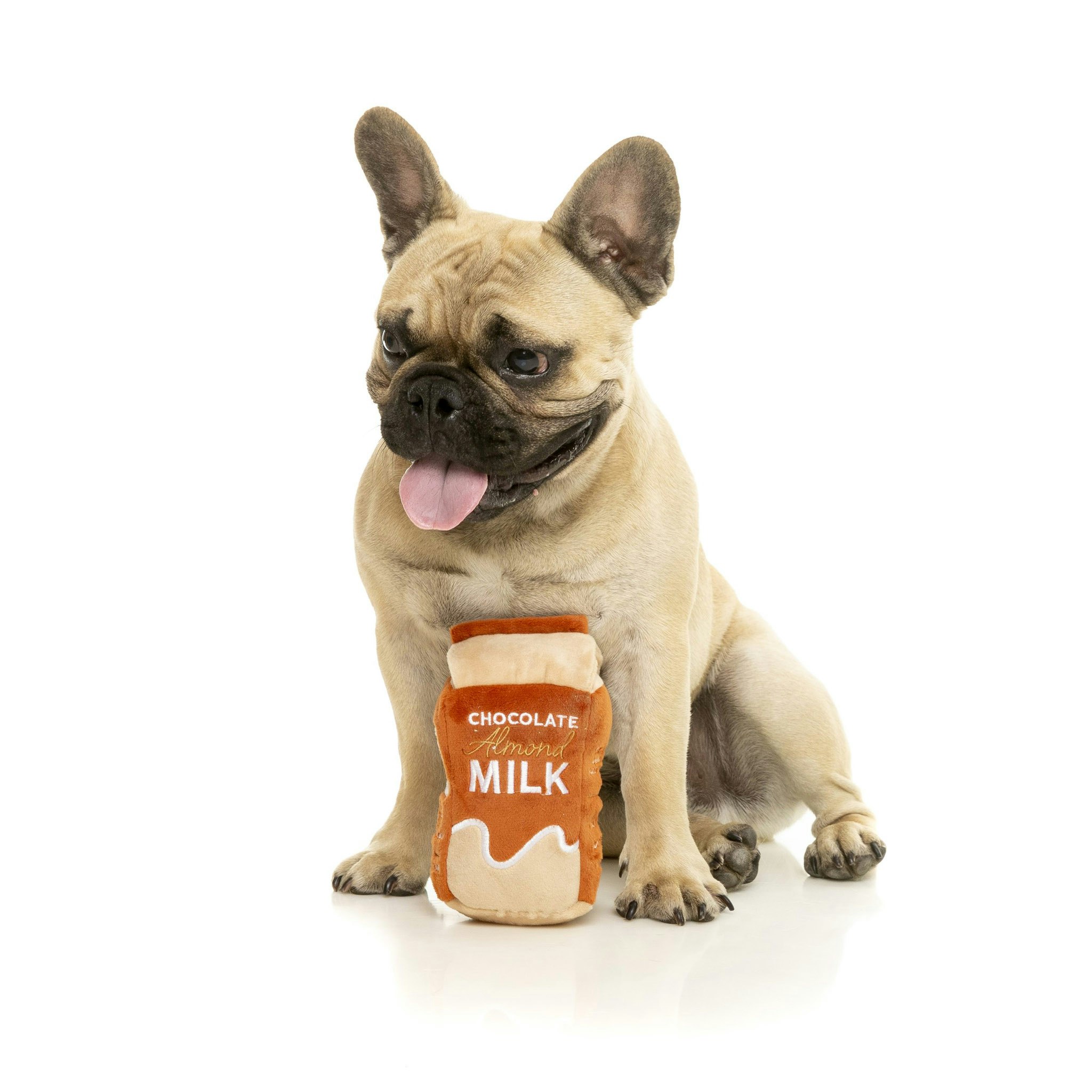 Chocolate Almond Milk Plush Dog Toy by