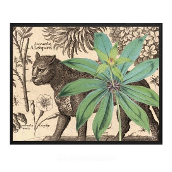 30 × 40cm Leopard Poster by Vanilla Fly