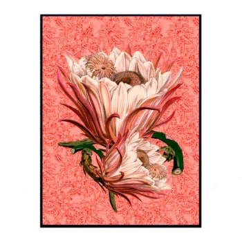 20 x 25cm Rose Paisley Poster by Vanilla Fly