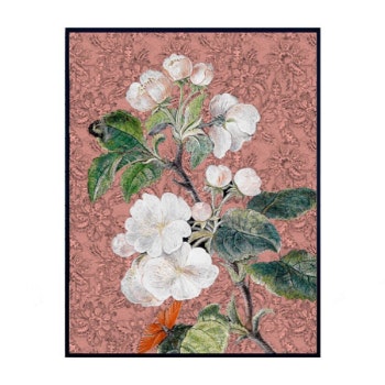 70 × 100cm Apple Blossom Rose Mega Poster by Vanilla Fly