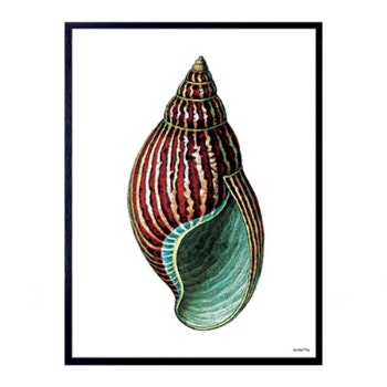20 × 25cm Red Green Conch Poster by Vanilla Fly