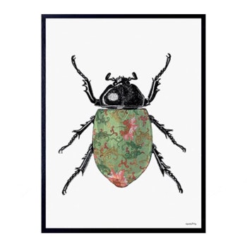 30 x 40cm Coloured Beetle Poster by Vanilla Fly