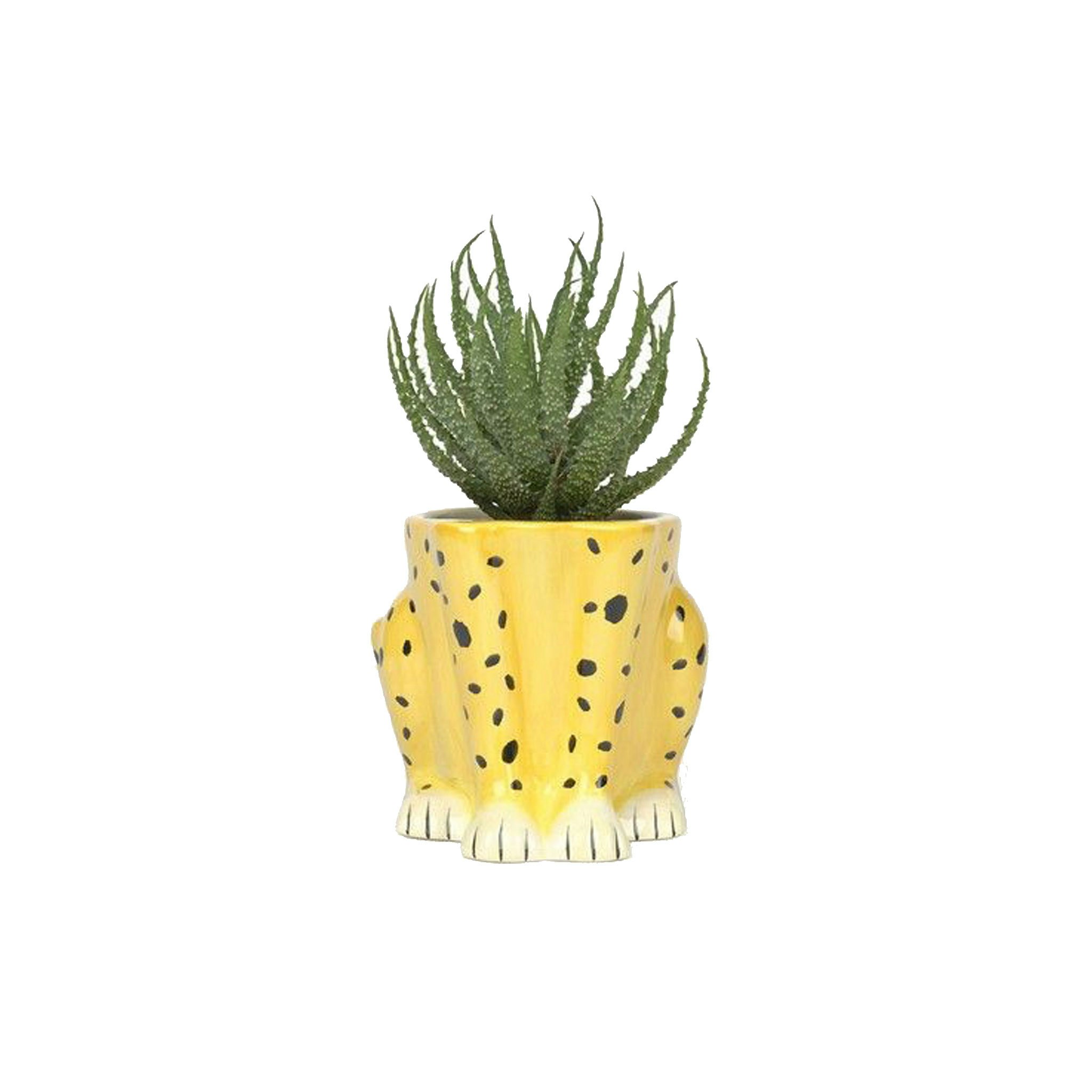 Urban Jungle Cheetah Planter by DOIY Design